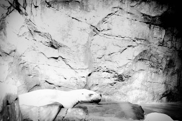 20130527_7D_0181