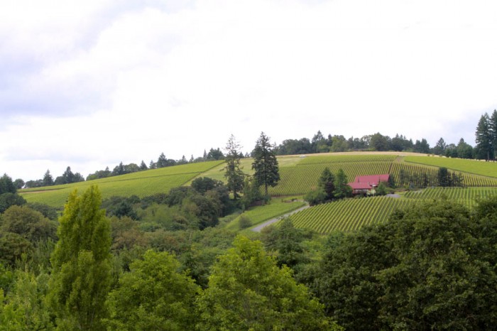 20130626_7D_3881