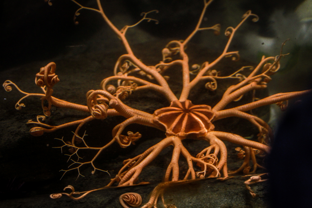 andrewmyoungphoto-5335